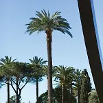 Typique - 2 Bedrooms,typical Apartment-old Town * Niza